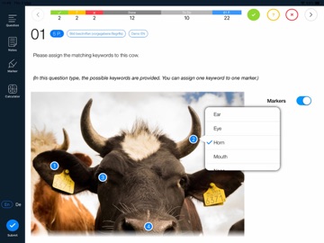 BeAxi E-Assessment iPad screenshot