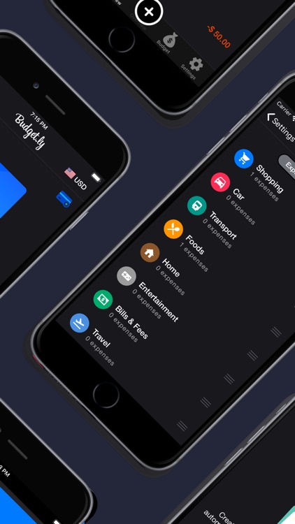 Budget.ly : Track Your Expense