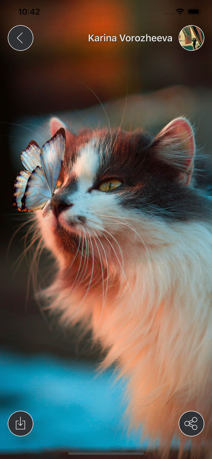 WallpApp - Perfect Wallpapers