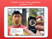 #пленка айпад изображения 4