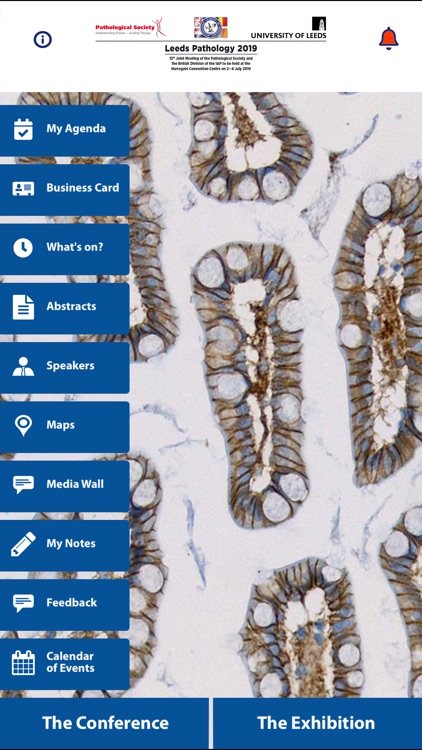 Leeds Pathology 2019
