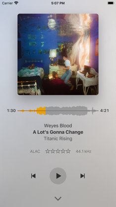 Plexamp screenshot 5
