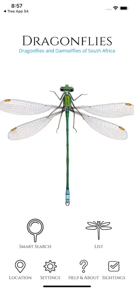 Game screenshot Dragonfly SA mod apk