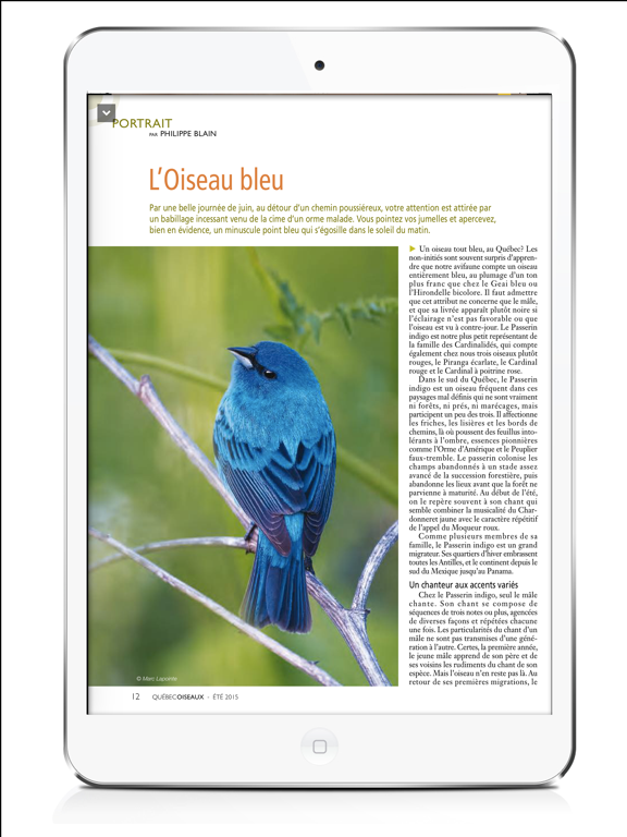 Screenshot #5 pour Magazine QuébecOiseaux