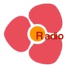 深圳FM, 深圳广播