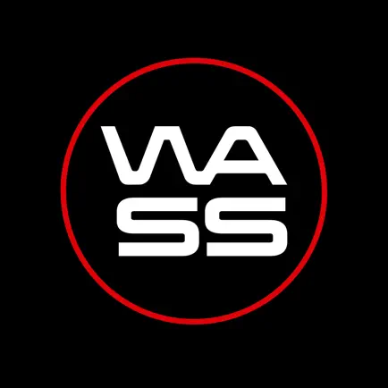 Wass Читы