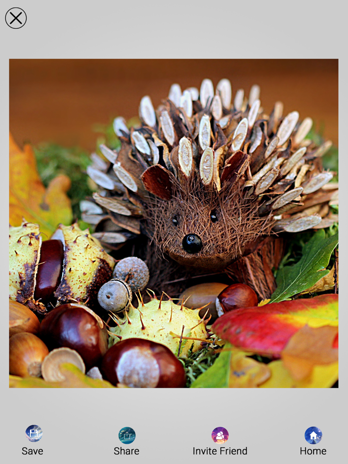 Photo Jigsaw Puzzle Maker