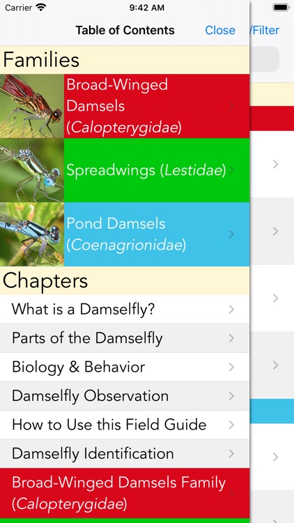 Damselflies of MN, WI, & MI screenshot-5