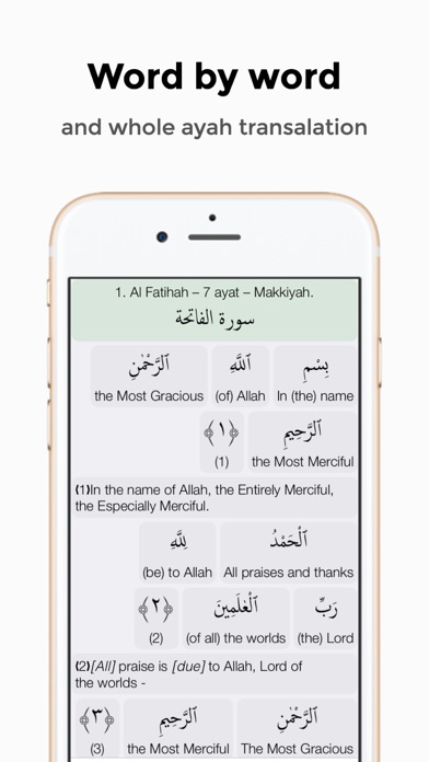 Quran Word by Word Screenshot