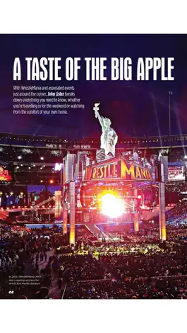 Game screenshot FIGHTING SPIRIT MAGAZINE hack