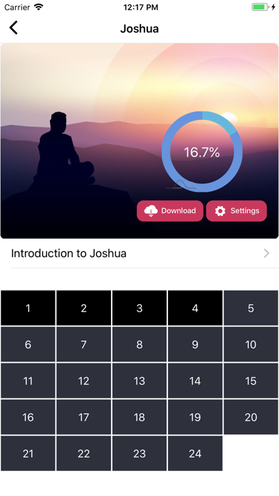 Pidgin Audio Bible Screenshot