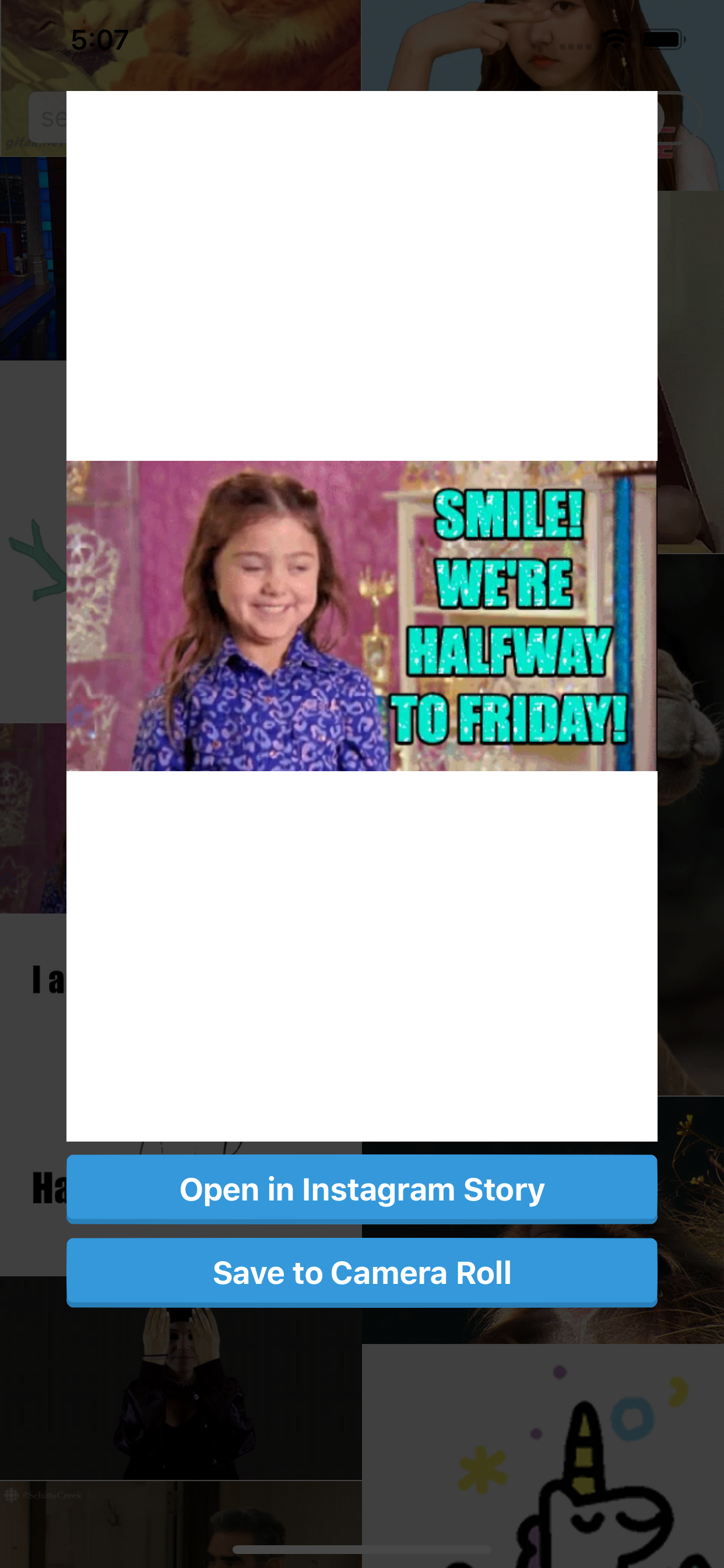 Instant Story GIF screenshot 2