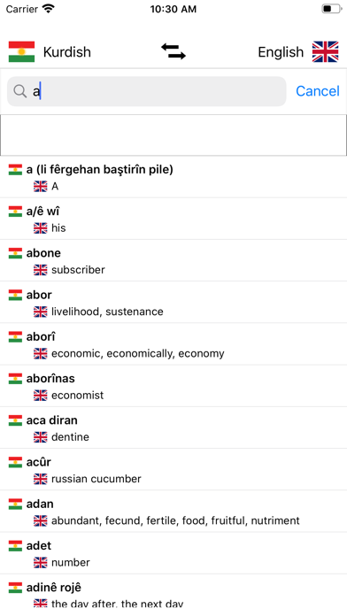 Kurdish-English Dictionary Screenshot