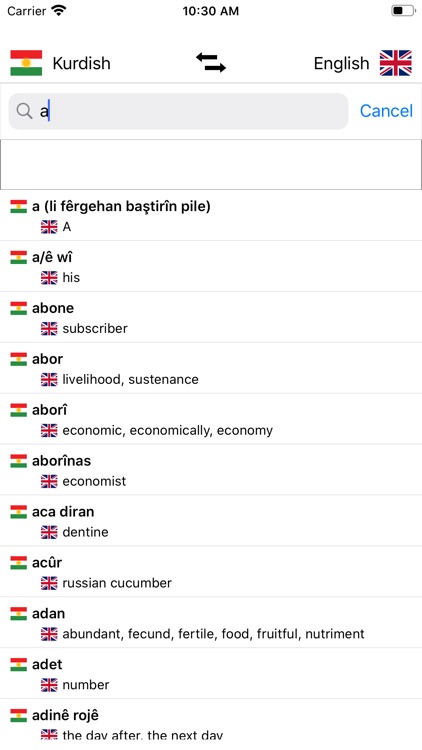 Kurdish-English Dictionary screenshot-3