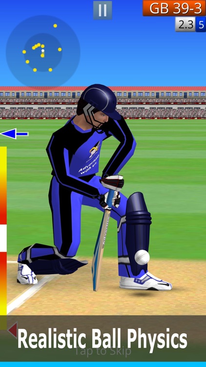 Smashing Cricket: cricket game