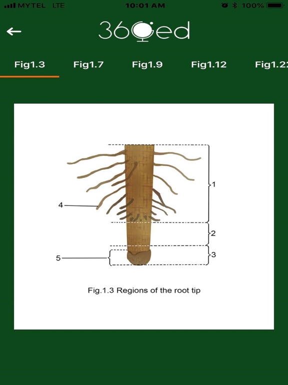 Dat Thin Pone Biology iPad screenshot