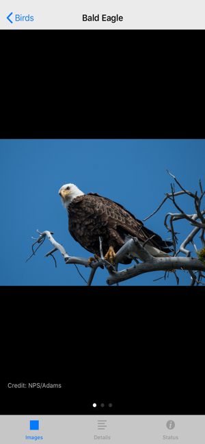 Yellowstone NP Field Guide(圖5)-速報App