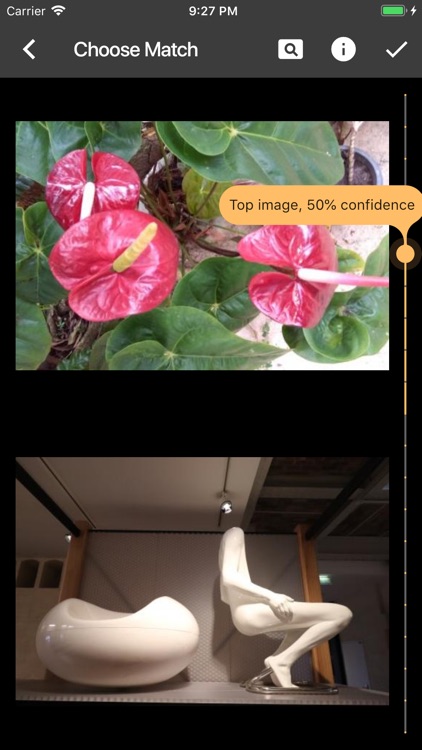 Remote Viewing Tournament