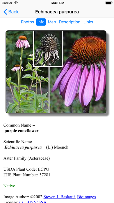 Screenshot #3 pour Iowa Wildflowers
