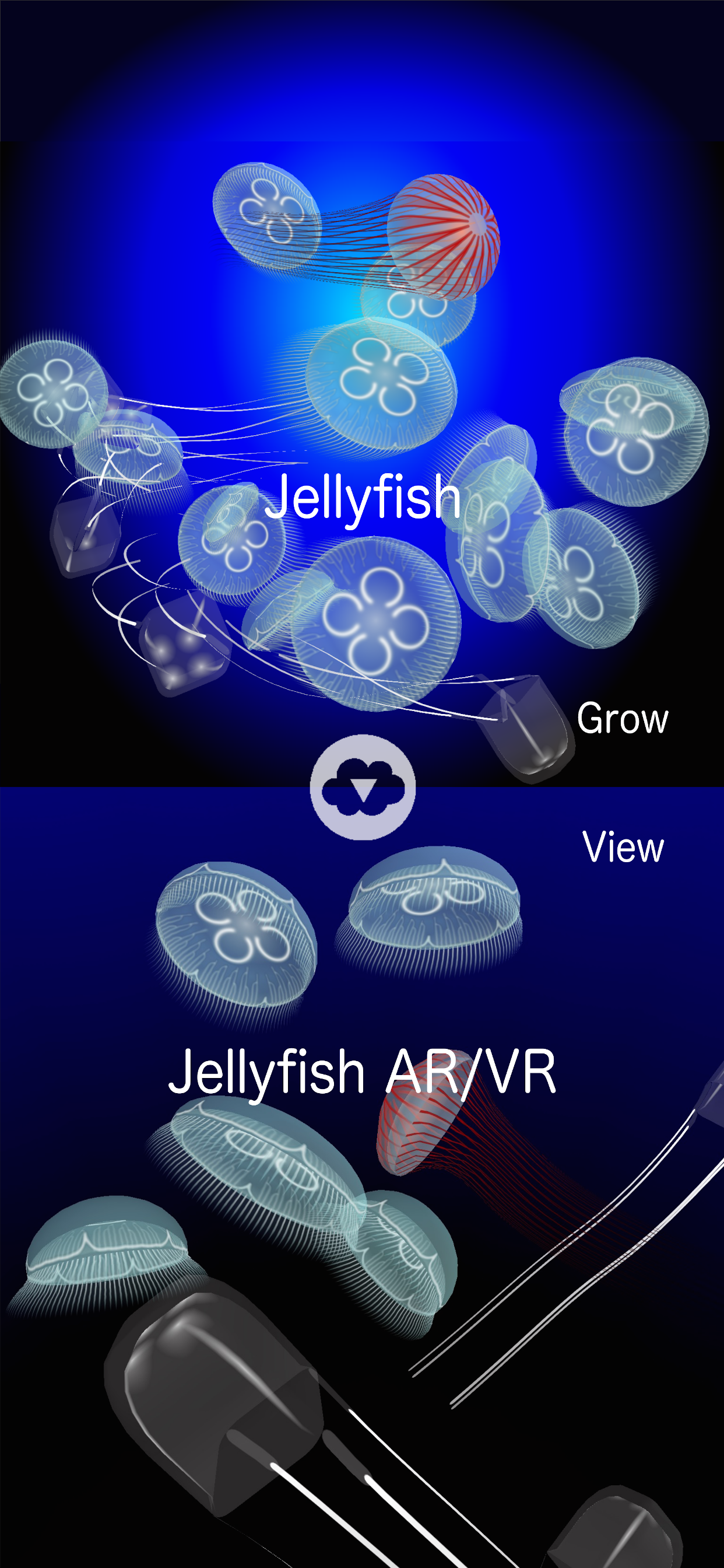 Jellyfish AR/VR