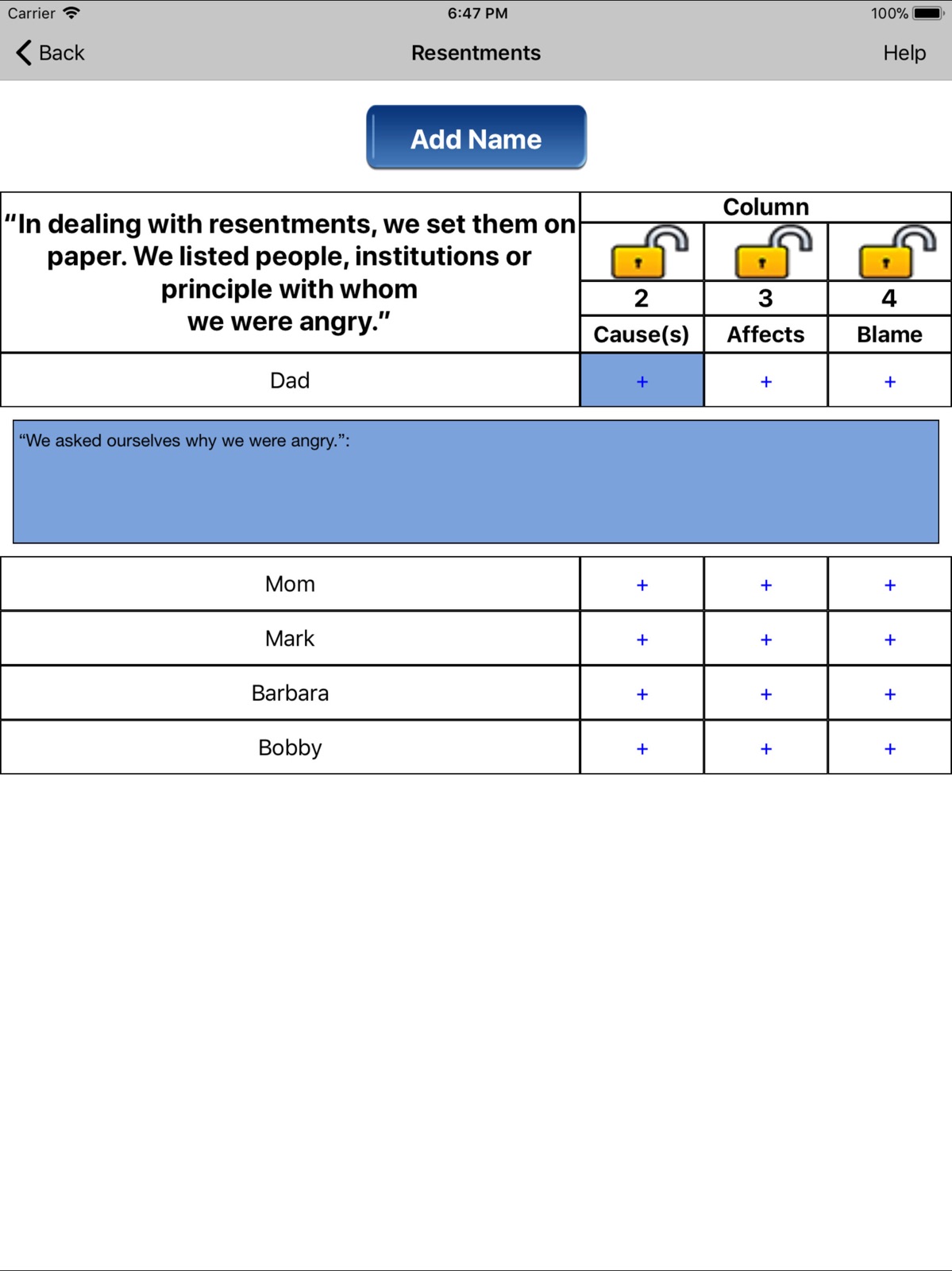 AA 4th Step ipad screenshot 2