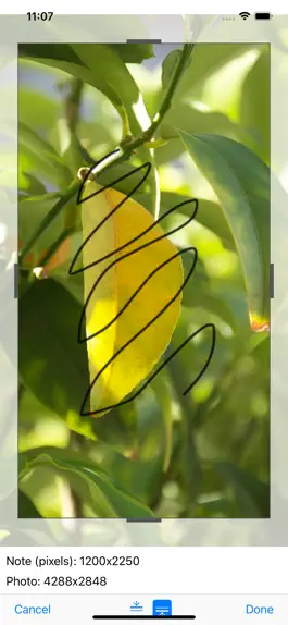 Game screenshot Cherkalka apk