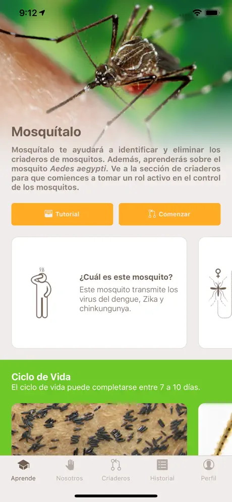 Mosquítalo