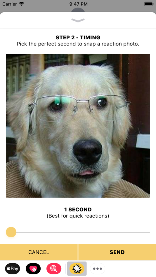 #2. AwSnap! (iOS) 由: Ryan Gant