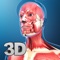 My Muscle Anatomy app for studying Muscle anatomy which