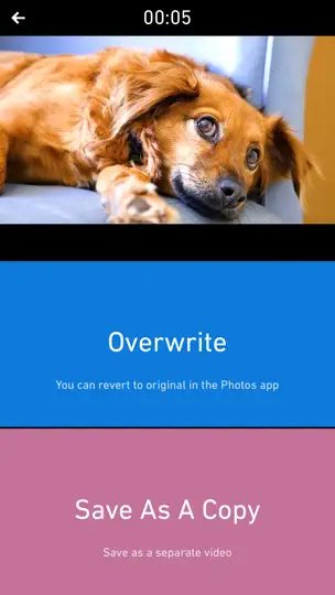 Captura de pantalla de Chromic: Movie Vintage Effect en iPhone 7