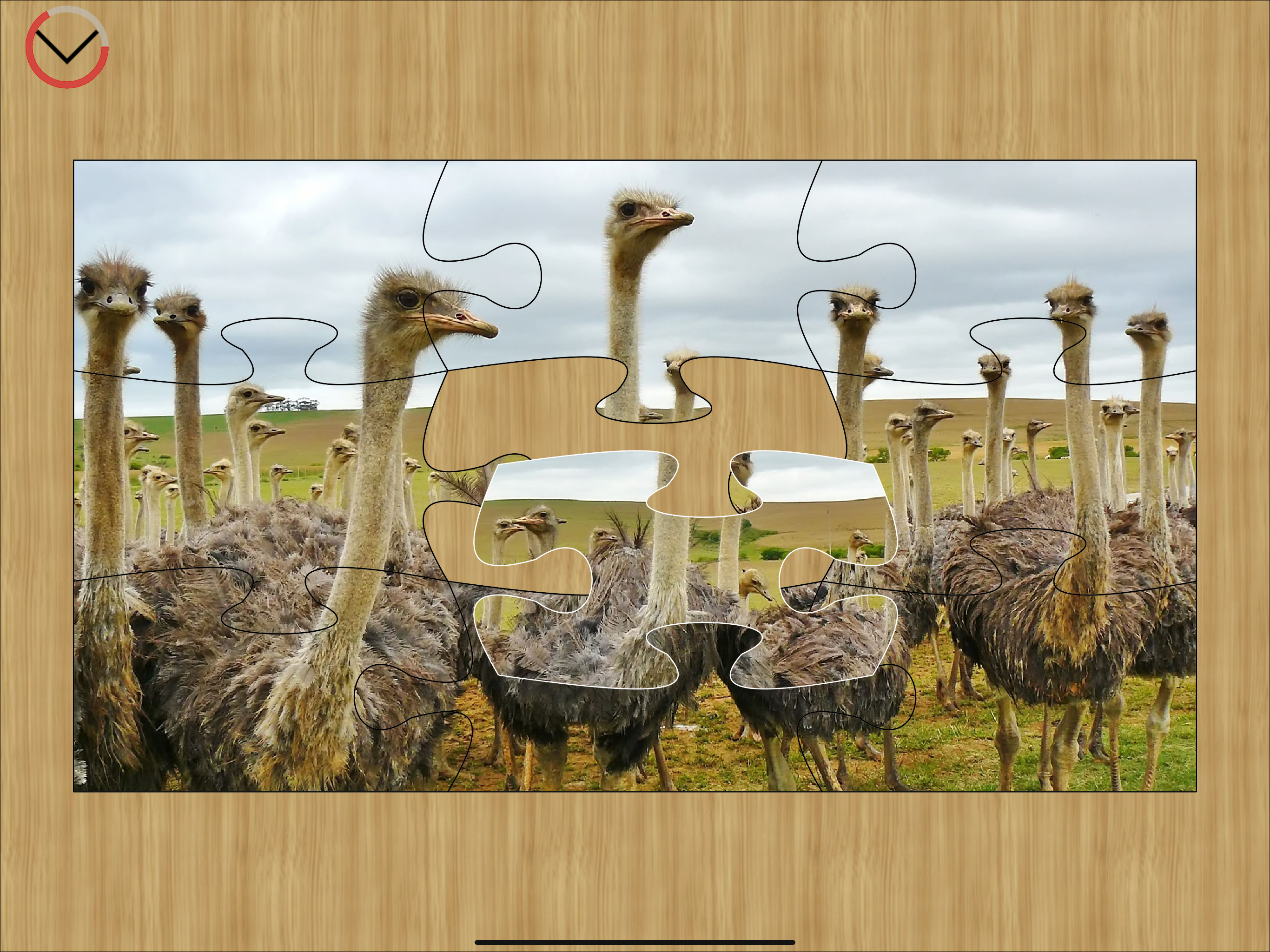 Jigsaw Puzzle - Classic screenshot 8