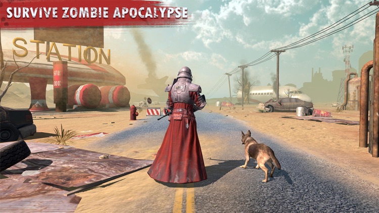 Survival: Wasteland Zombie