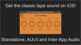 tape cassette problems & solutions and troubleshooting guide - 1