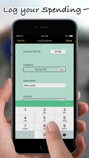 spending log pro iphone screenshot 2