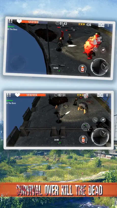 Overkill Zone 3D