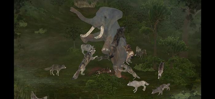 Wild Animals OnlineWAO