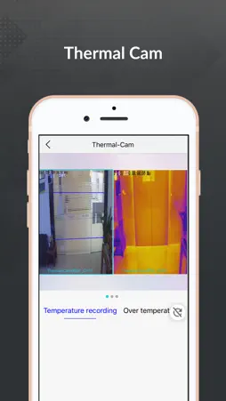 IVMS-20 screenshot 4