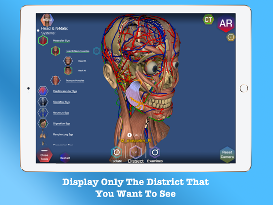 Screenshot #5 pour AR Anatomy ++