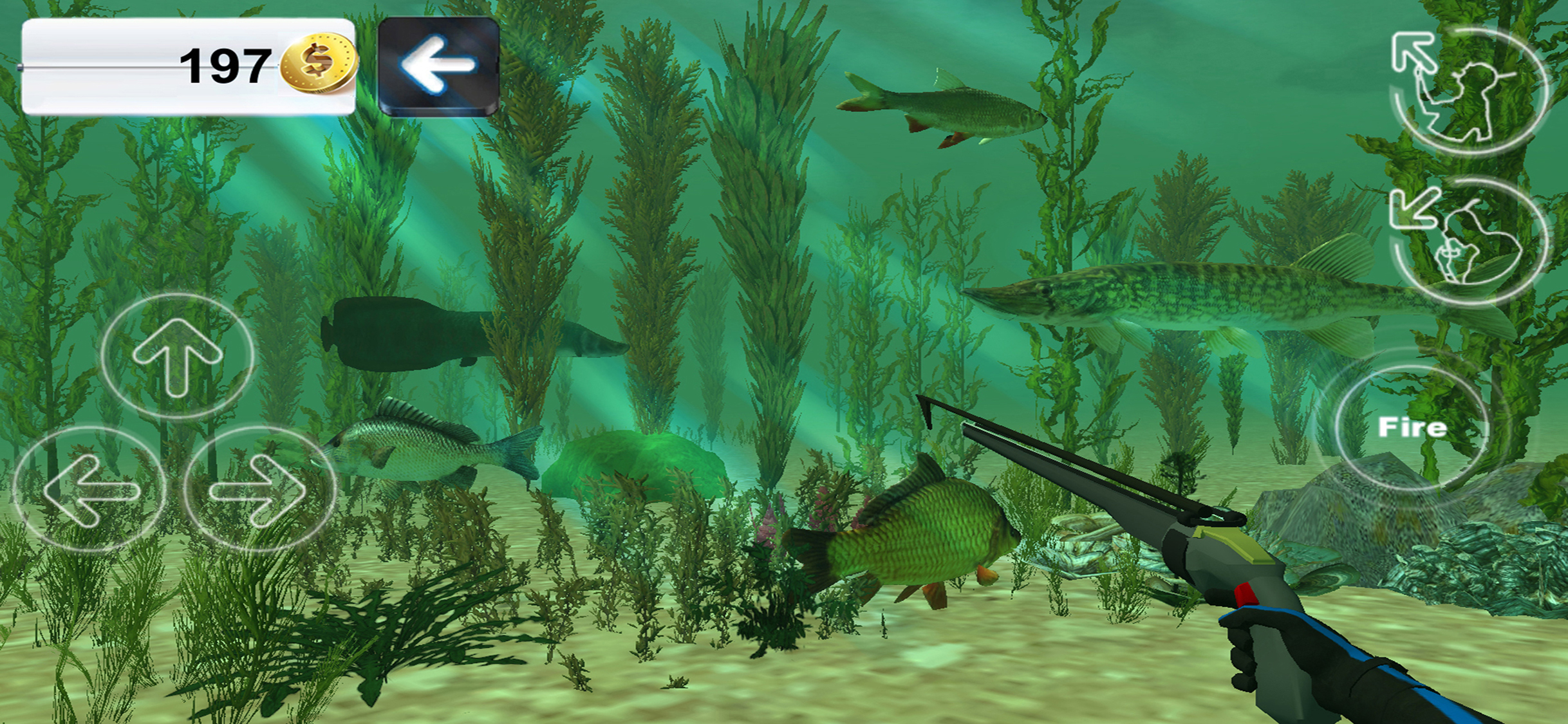 Hunter underwater spearfishing