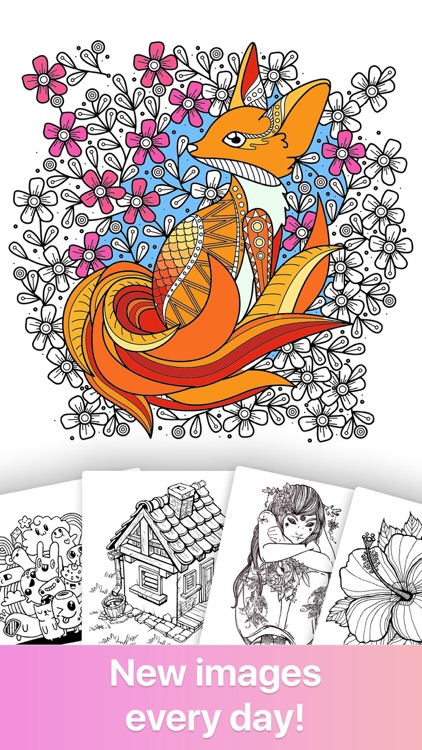 Coloring Book for Adults ∙