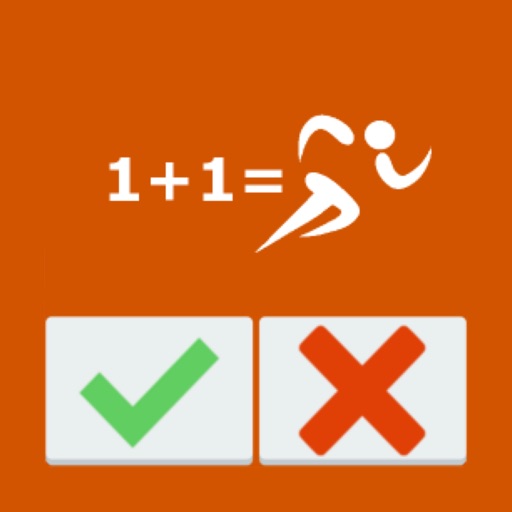 RacingInMathematicalKnowledge