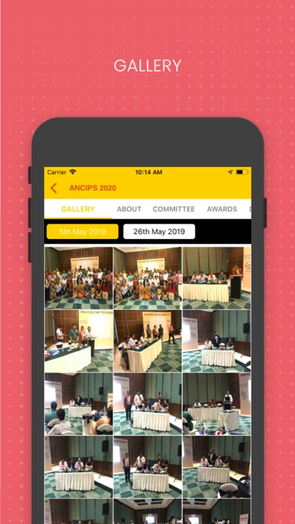 Ancips 2020 screenshot-5