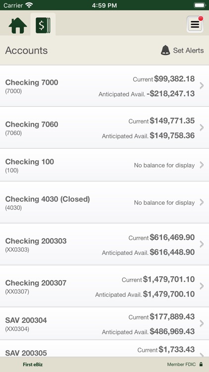 First eBiz: Mobile Banking screenshot-3