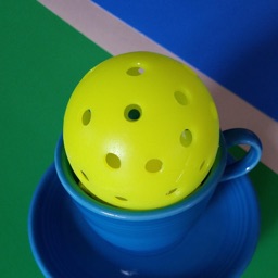 Pickleball Tournament App