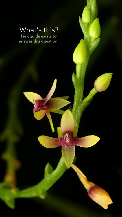 Plants by Fieldguide