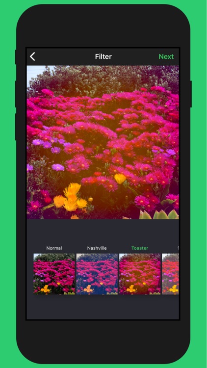 GreenUp screenshot-3