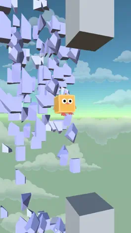 Game screenshot Bird Run - Flying IN The Sky hack