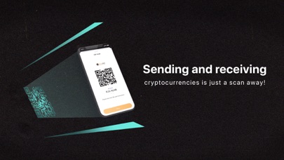 XcelPay Crypto Bitcoin Wallet screenshot 3