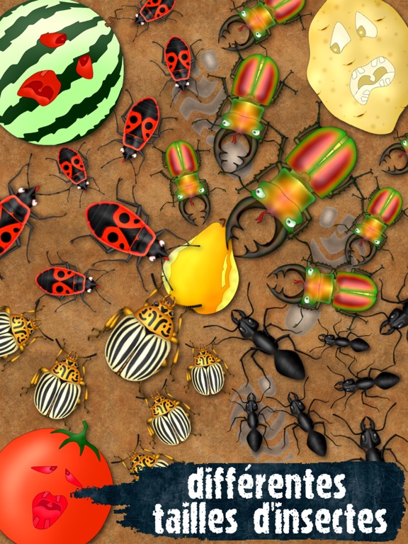 Screenshot #5 pour Écraser Insecte Jeux Fourmis