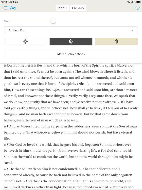 Screenshot #6 pour Bible for You